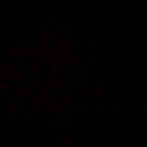 Meet your Posher, Shyanne